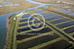 Claires à Huitres, Polder de la Prise, Barre-de-Monts , vendée Claires à Huitres, Polder de la Prise, Barre-de-Monts , vendée